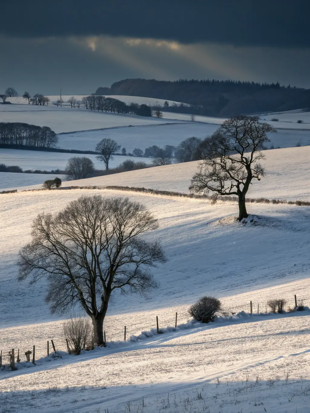 A peaceful image representing the winter solstice, with snow-covered landscapes and a sense of stillness, symbolizing introspection and renewal in personal coaching.